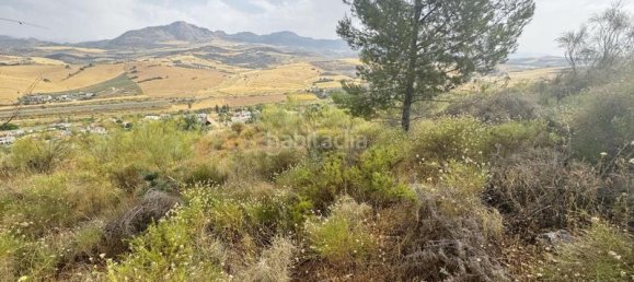 Земельный участок 800м² в Малага, Испания № 169154 10