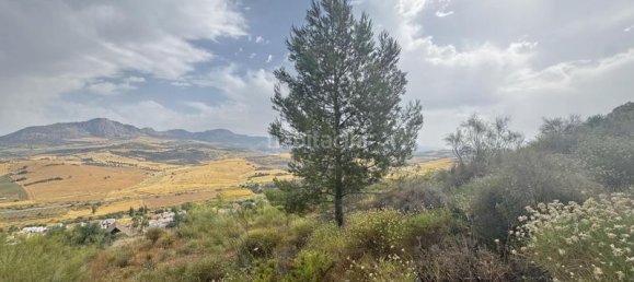 Земельный участок 800м² в Малага, Испания № 169154 12