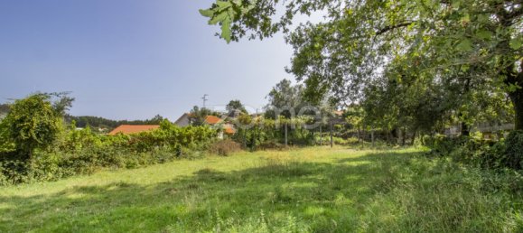 Casa T16 em Serzedelo, Portugal N.º 46244 14