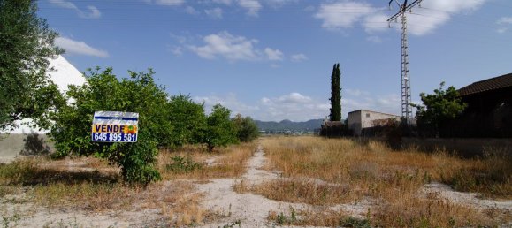 Земельный участок 2366м² в Эра Альта, Испания № 107271 3