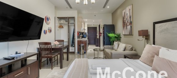 Studio in Downtown Dubai (Downtown Burj Dubai), UAE No. 35572 8