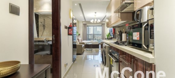 Studio in Downtown Dubai (Downtown Burj Dubai), UAE No. 35572 11