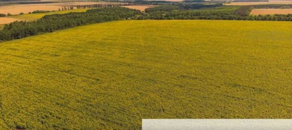 112m² Land in Galliera Veneta, Italy No. 307559 3