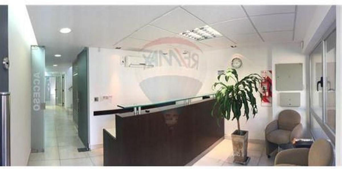 Büro in Buenos Aires, Argentina 280m², Nr. 109368