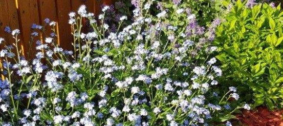 Дом с 4 комнатами в Мария Гайль, Австрия № 133324 29