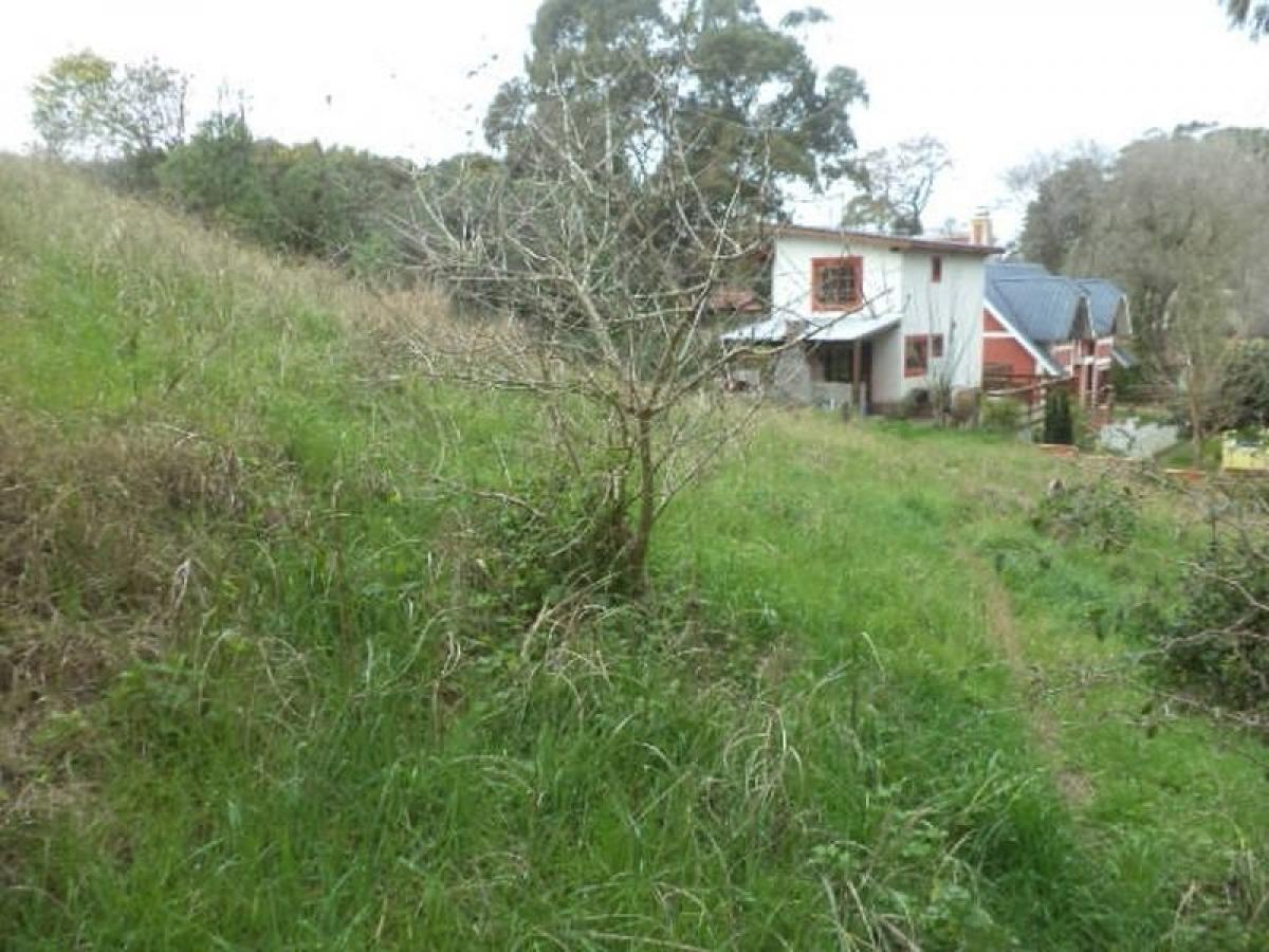  قطعة أرض في Mar del Plata, Argentina رقم 122015