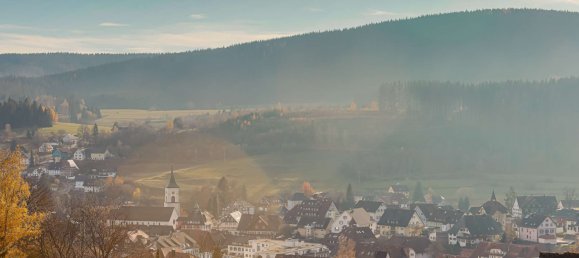 Apartamento de 1 dormitorio en Breisgau-Hochschwarzwald, Germany No. 306291 4