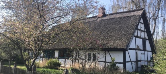 Дом с 4 комнатами в Людвигслуст-Пархим, Германия № 190072 3