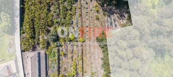 6 bedrooms House in Santana, Portugal No. 28509 7