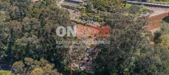 6 bedrooms House in Santana, Portugal No. 28509 8