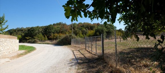 4143m² Hotel in Corfu, Greece No. 4598 5