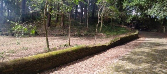 1934m² Land in Seixas, Portugal No. 201319 3