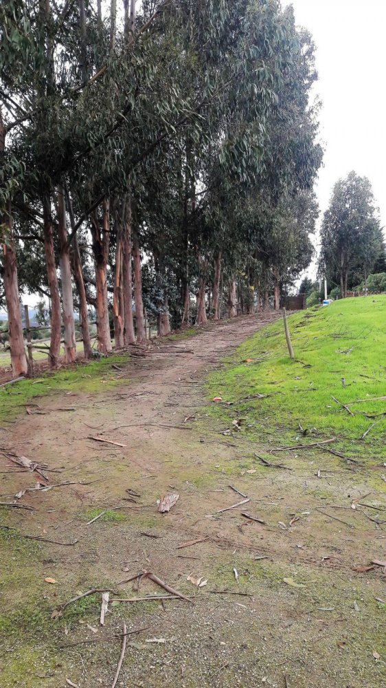 3 bedrooms House in Valparaiso, Chile No. 4881