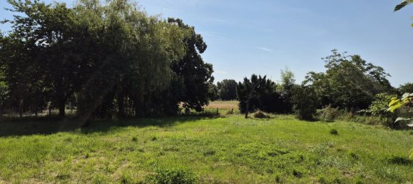  Land in Saint-Loup-des-Vignes, France No. 153448 2