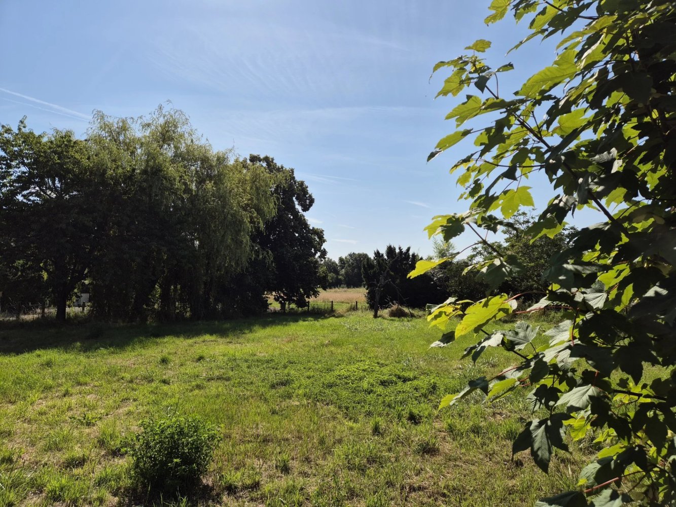  Land in Saint-Loup-des-Vignes, France No. 153448