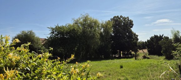  Land in Saint-Loup-des-Vignes, France No. 153448 3