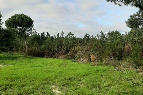  Land in Sesimbra, Portugal No. 265165