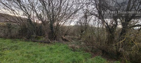 3 chambres Maison à Tarn-et-Garonne, France No. 278940 10