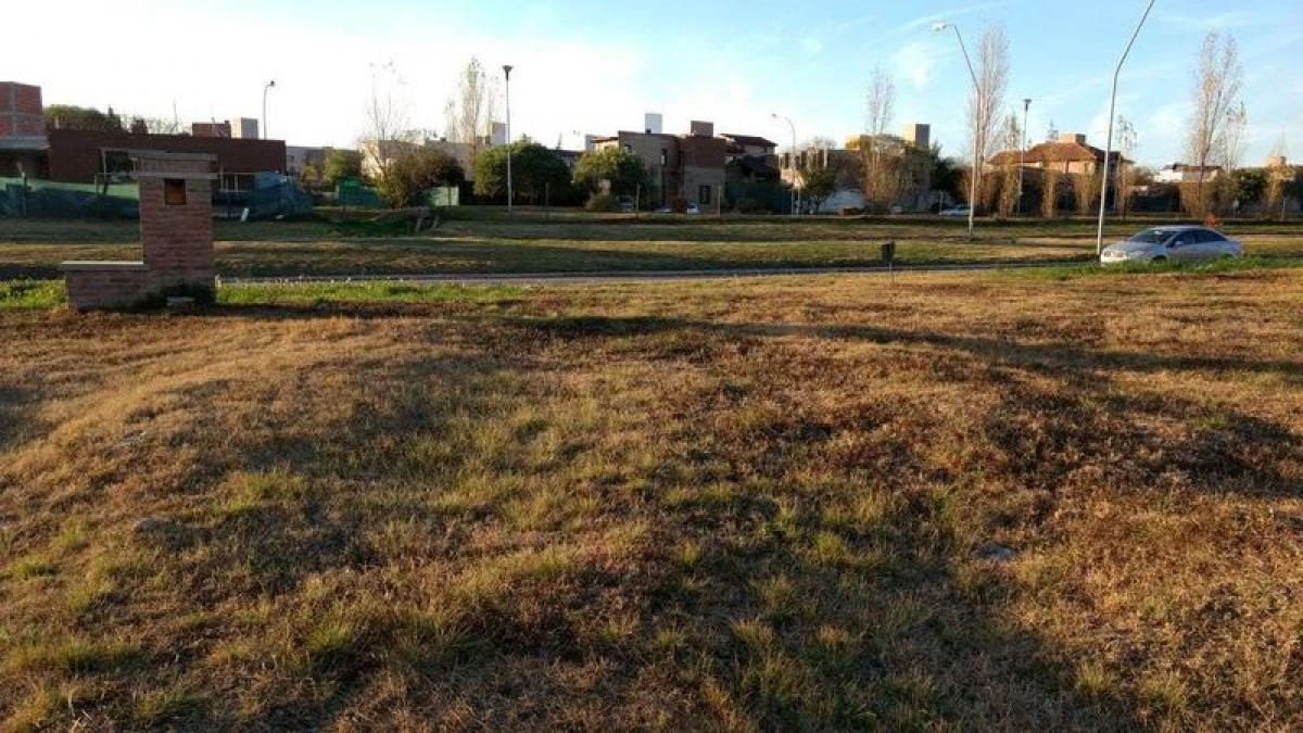  Land in Cordoba, Argentina No. 43415