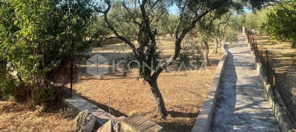 Apartamento T1 em Trani, Italy N.º 346952 5