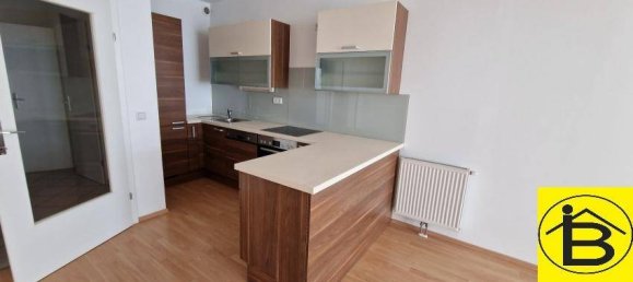 3-Zimmer Wohnung in Gänserndorf, Austria, Nr. 84394 5