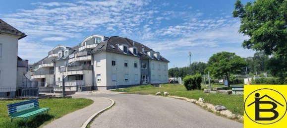 3-Zimmer Wohnung in Gänserndorf, Austria, Nr. 84394 13