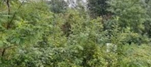 Entrepôt à Carate Brianza, Italy 1410m² No. 298633 14