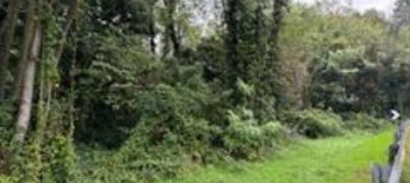 Entrepôt à Carate Brianza, Italy 1410m² No. 298633 37