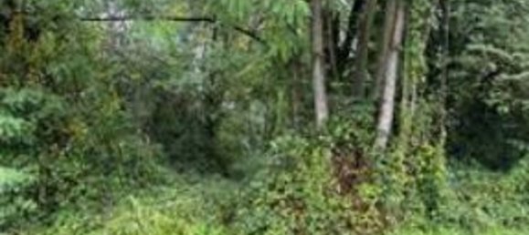 Entrepôt à Carate Brianza, Italy 1410m² No. 298633 38