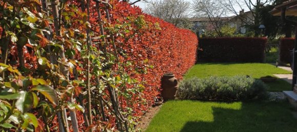 7-Zimmer Villa in Brembate di Sopra, Italy, Nr. 285176 17