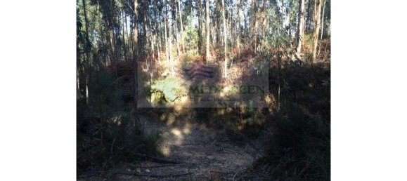  قطعة أرض في Pessegueiro do Vouga, Portugal 10000متر مربع رقم 260656 3