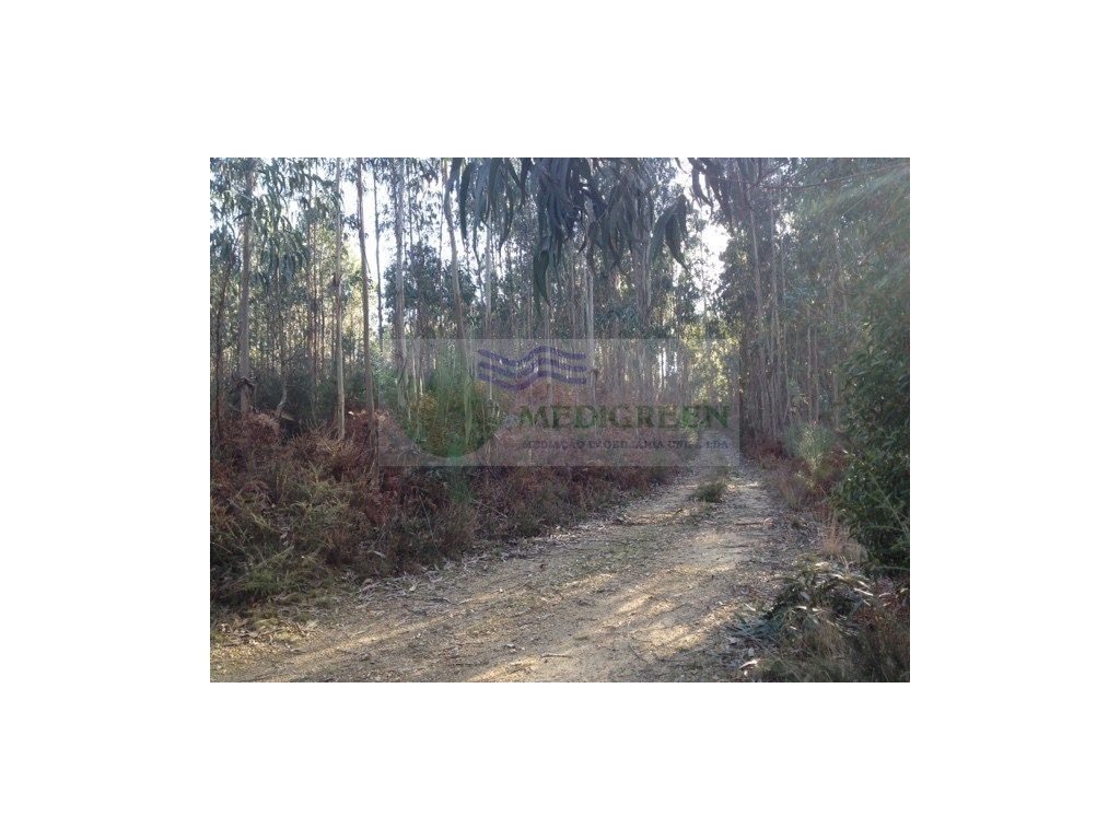  قطعة أرض في Pessegueiro do Vouga, Portugal 10000متر مربع رقم 260656