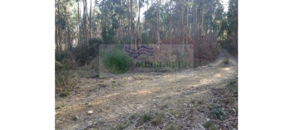  قطعة أرض في Pessegueiro do Vouga, Portugal 10000متر مربع رقم 260656 2