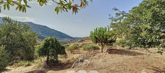 4 bedrooms House in Alcaucin, Spain No. 45144 34