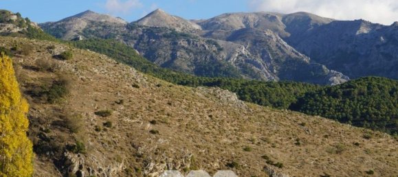 4 bedrooms House in Alcaucin, Spain No. 45144 30