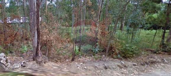 2100m² Land in Fiaes, Portugal No. 64364 4