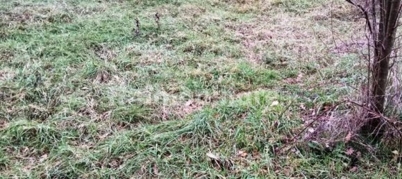 5 Schlafzimmer Villa in Cairo Montenotte, Italy, Nr. 93888 3