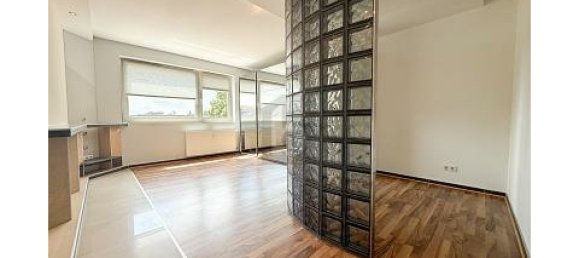 Estudio en Braunschweig, Germany No. 339004 2