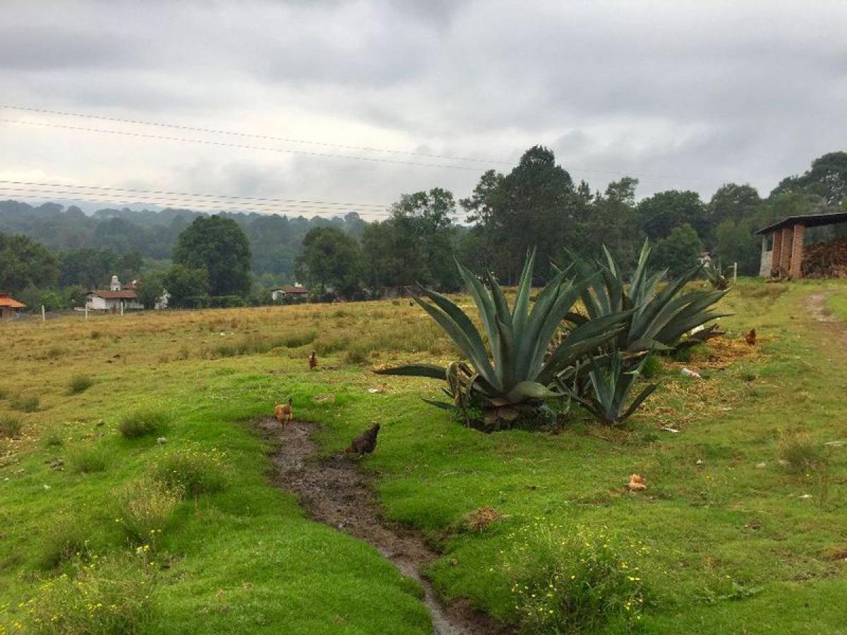 Grundstück in Heroica Matamoros, Mexico, Nr. 206460