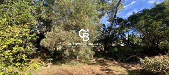 3 rooms House in Lege-Cap-Ferret, France No. 352867 4