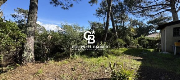 3 rooms House in Lege-Cap-Ferret, France No. 352867 5