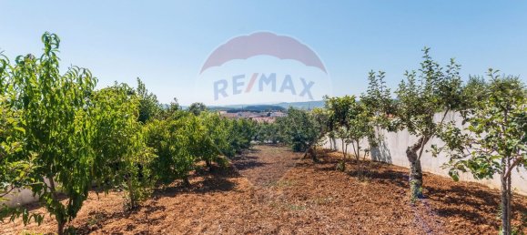 3 bedrooms House in Obidos, Portugal No. 186019 44