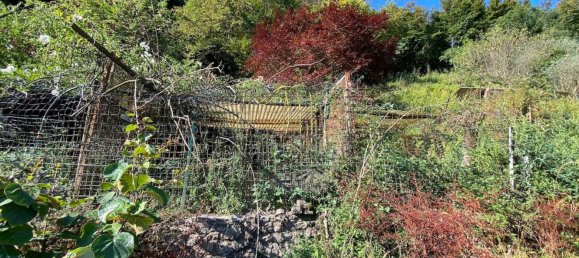 8 rooms House in Lerici, Italy No. 275616 18