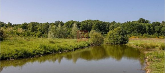 Terreno em Le Controis-en-Sologne, France 101030 m² N.º 279879 3