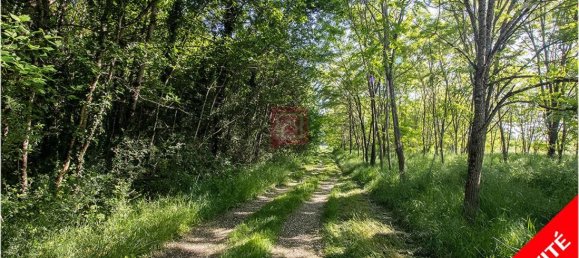 Terreno em Le Controis-en-Sologne, France 101030 m² N.º 279879 2