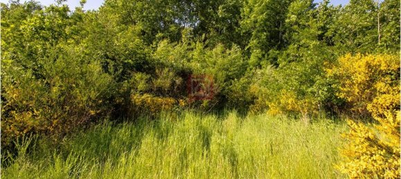 Terreno em Le Controis-en-Sologne, France 101030 m² N.º 279879 9