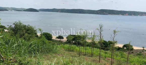  قطعة أرض في West Nusa Tenggara, Indonesia 12400متر مربع رقم 4082 19