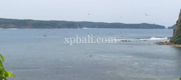  قطعة أرض في West Nusa Tenggara, Indonesia 12400متر مربع رقم 4082 18