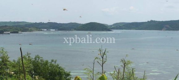  قطعة أرض في West Nusa Tenggara, Indonesia 12400متر مربع رقم 4082 6