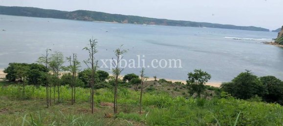  قطعة أرض في West Nusa Tenggara, Indonesia 12400متر مربع رقم 4082 22